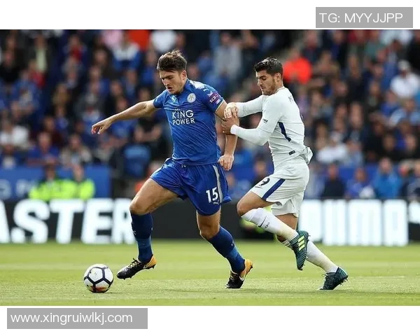 京都与福冈黄蜂对决结果揭晓精彩瞬间回顾与分析