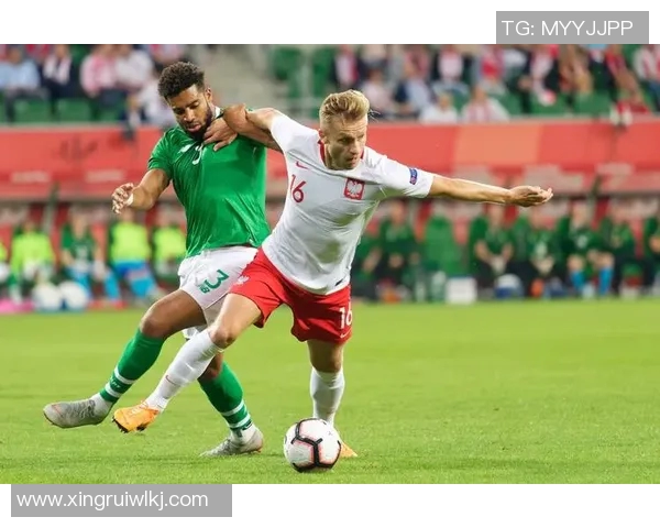 威尔士与爱尔兰激战正酣比分揭晓引发球迷热议