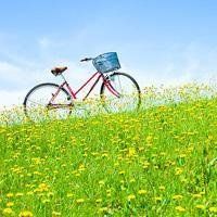 自家价钱与空间最平均的车款马自达CX-30该若何选？bd半岛体育(图3)